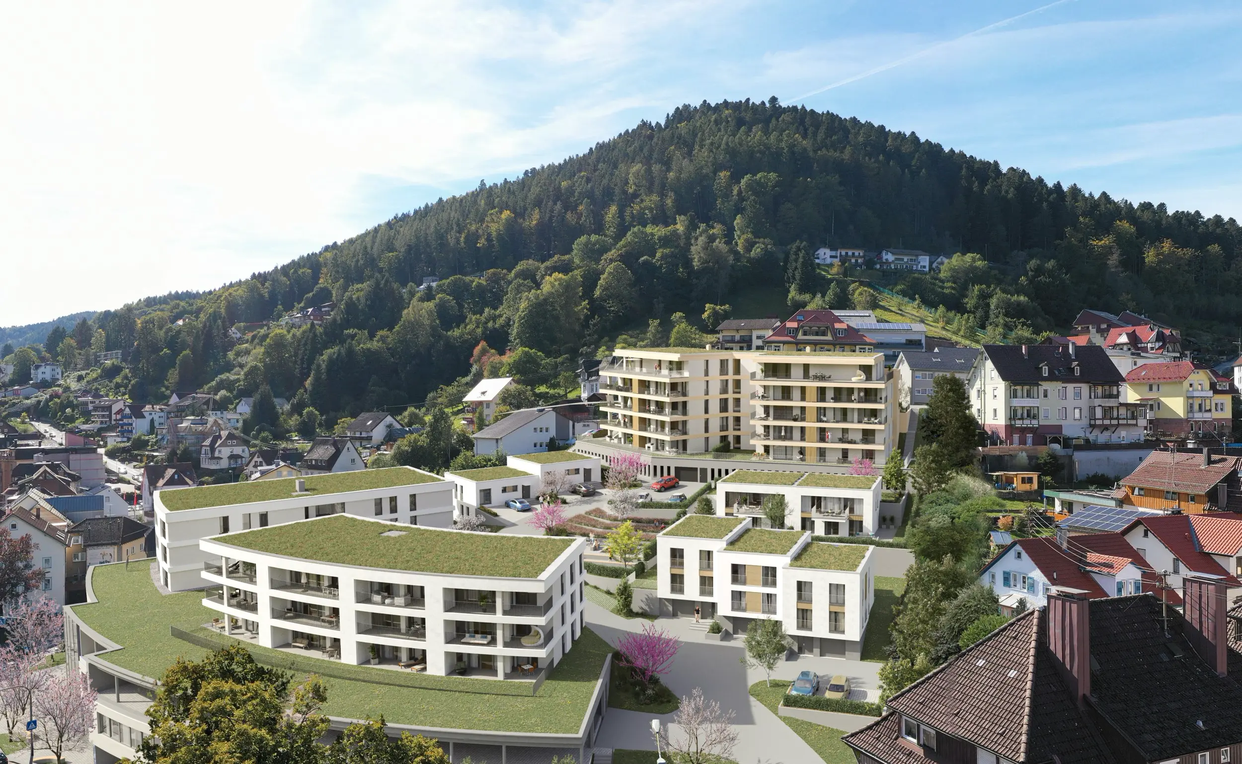Neubau in Bad Wildbad